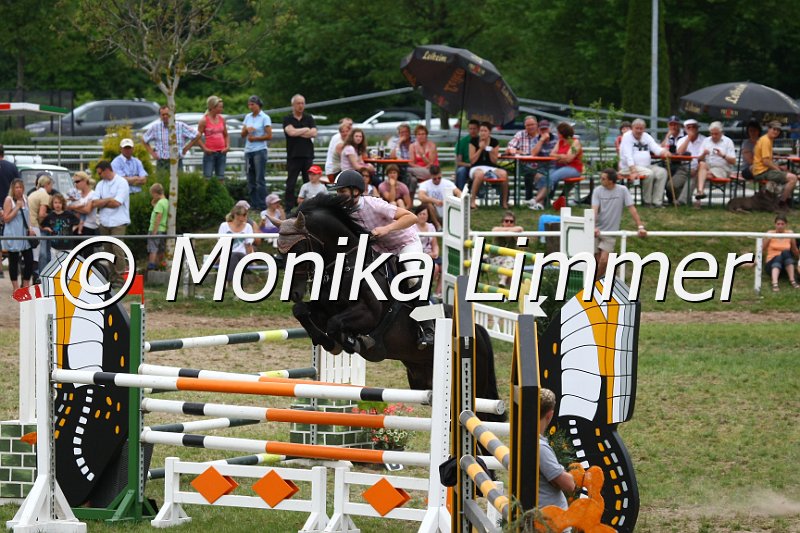 105M4380_Stakkatos Shadow II_Spring_M.JPG